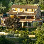 Vento Tra Gli Ulivi *