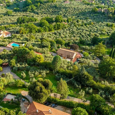 Vento Tra Gli Ulivi * Terni